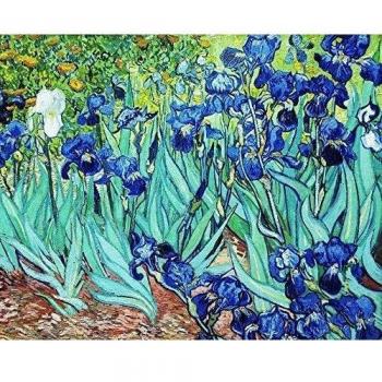 Legendarte Cuadro Lienzo, Impresión Digital - Lirios Vincent Van Gogh, cm. 80x100 - Decoración Pared
