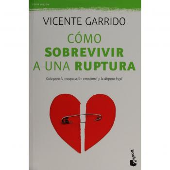 Como Sobrevivir A Una Ruptura