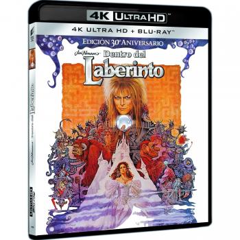 Dentro Del Laberinto