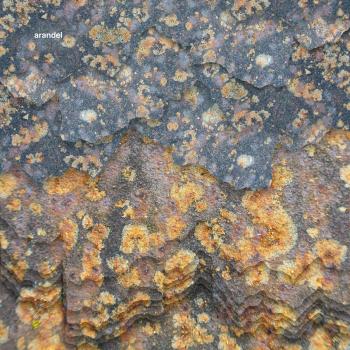 Solarispellis Vinyl LP with MP3 Download