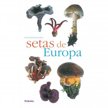 Setas De Europa