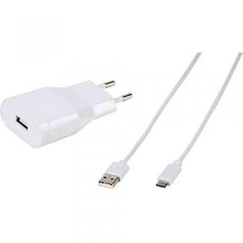 Vivanco L-Cargador Pared 2,4 AMP + Cable Tipo C 1,2M Blanco