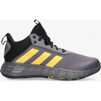 Zapatillas de baloncesto adidas OwnTheGame 2.0 JR GZ3381 38 gris
