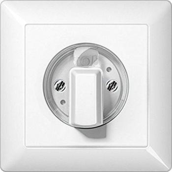 Placa compacta AS500 blanco alpino 0712172316 Jung