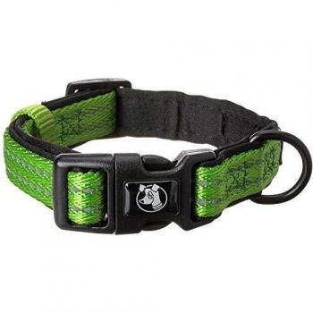 Alcott Adventure Explorer Collar pequeño, Verde