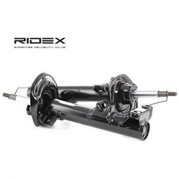Ridex 854S1602 Amortiguador