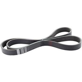 Skf VKMV 6PK1026 Correas de Distribución