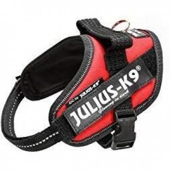 Arnés Ergonómico Julius-K9 IDC Rojo, Tamaño XS/Mini-Mini, 40-53 cm/22 mm para Perros