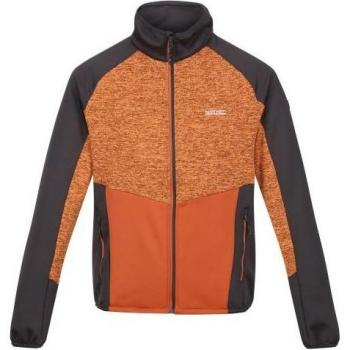 Forro Polar Coladane V de Jaspeada para Hombre Regatta