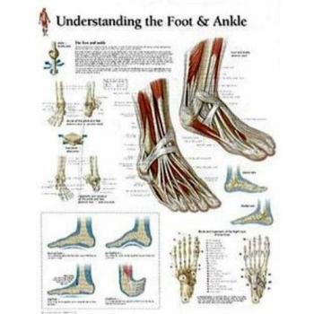 Understanding the Foot & Ankle Paper Poster