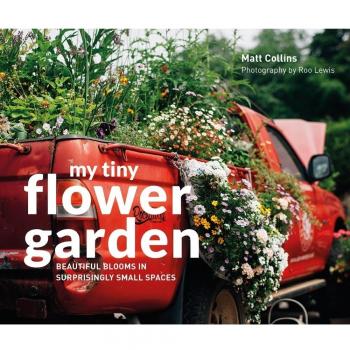 My Tiny Flower Garden: Beautiful blooms in surprisingly small spaces