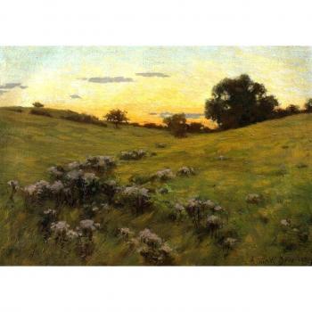 Otros OdsanArt 20 x 35,56 cm Post Impresionismo 'floración de campo de