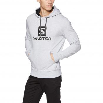 Salomon Logo Hoodie M - Sudadera, Hombre, Gris