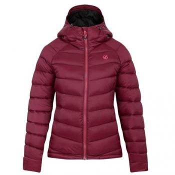 Dare 2b Women's Lightweight Hooded Baffled Jacket - Fig Purple, Size 8