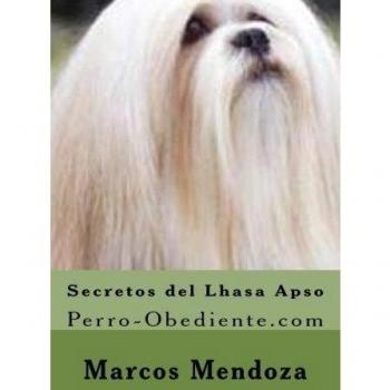 Secretos del Lhasa Apso: Perro-Obediente.com