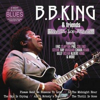 A Night Of Blistering Blues [Vinilo]