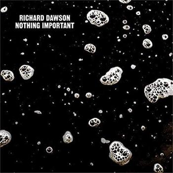 Nothing Important [Vinilo]