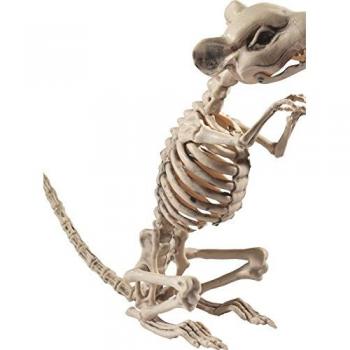 Smiffy 's 46908 rata esqueleto Prop
