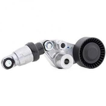 Optimal 0-N2226 0-N2226-Correa Dentada