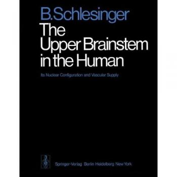 The Upper Brainstem in the Human: Its Nuclear Configuration and Vascular Supply