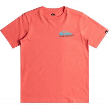 Camiseta de niños Quiksilver Omni Wave de manga corta