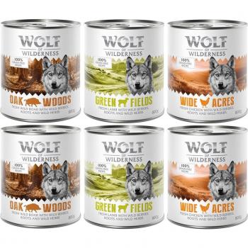 Megapack Wolf of Wilderness 24 x 800 g - Pack mixto: 8x Jabalí, 8x Pollo, 8x Cordero