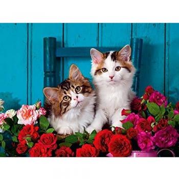 Puzzle 500 Piezas Gatitos