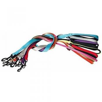 Correa Confort de Nylon Rosa para Perros - 2,5 cm de Ancho y 120 cm de Largo