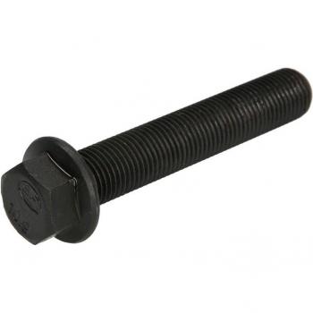 Tornillo de biela BF 20060910509