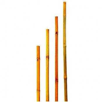 Tutores de Bambú 210 cm, Diámetro 16-18 mm, Pack de 2 para Plantas y Flores