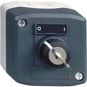 Caja de montaje en pared Schneider Electric XALD144E, Interruptor de estación de control IP66, 10A, color gris
