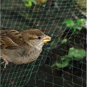 Riegolux 601510 Malla Antipajaros, 2 x 10 m