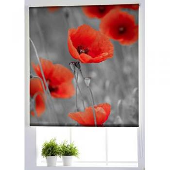 Estor Enrollable Translúcido Estampado Flores y Plantas - Fácil Instalación para Ventanas y Puertas - 110 x 180 cm - Modelo F-1538