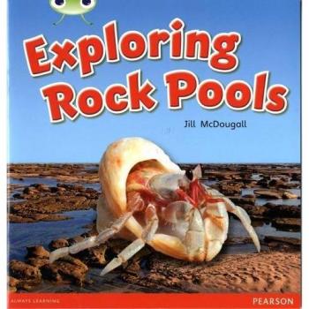 Bug Club Green C Exploring Rock Pools 6-pack