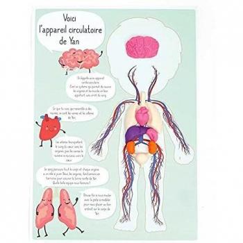 Kit Educativo de Moulage 'Graine Creativa' para Descubrir el Cuerpo Humano - Pasta a Modelar para Niños a Partir de 5 Años