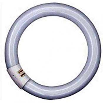 Lámpara fluorescente, G10q/230V/40W-840, LUMILUX ® en forma de anillo T9C