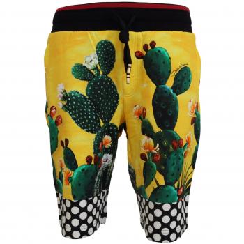 Multicolor Cactus Print Cotton Sweat Shorts - Dolce & Gabbana, Casual Shorts, Male, Size: L