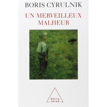 A Wonderful Misfortune (Paperback) by Boris Cyrulnik