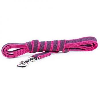 Julius-K9 216GM-PN-S3 - Correa de Perro del Estupendo, Rosa