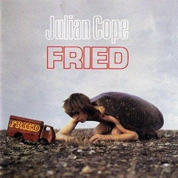 Fried - Julian Cope