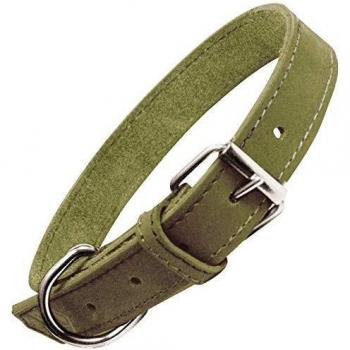 Collar para Perro Gloria Oasis Verde