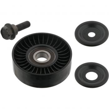 Febi 33181 polea para correa auxiliar