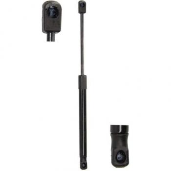 Resorte de gas para maletero/compartimento de carga MAGNUM TECHNOLOGY MGS9001