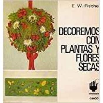 Decoremos con plantas y Flores secas