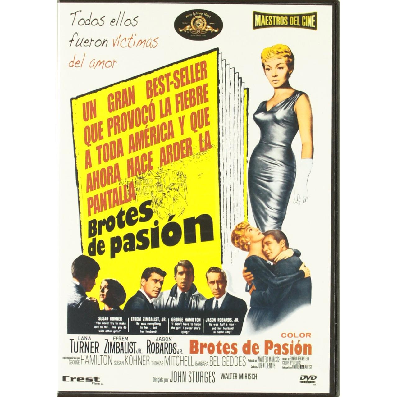 Imagen Principal
