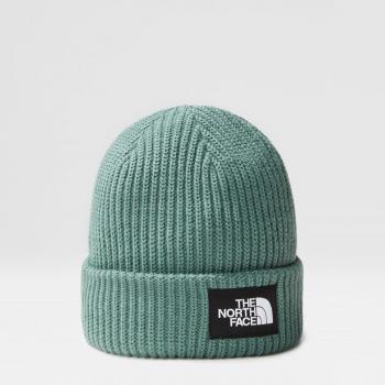The North Face Salty Dog Lined Beanie