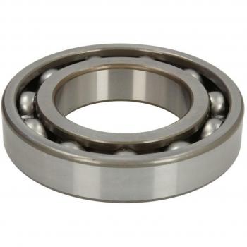 Cojinete de la caja de cambios EURORICAMBI 98530440 - Cojinete de alta calidad, compatible con múltiples modelos, fabricado con materiales duraderos para asegurar un rendimiento óptimo en la transmisión del vehículo