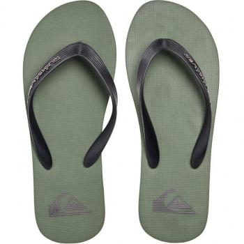 Chanclas de hombre Molokai Core Quiksilver