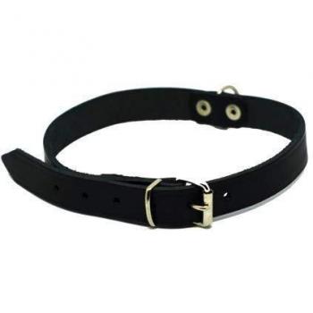Collar liso para perro Kerbl Mexica color crema, tamaño ajustable de 36 cm a 46 cm