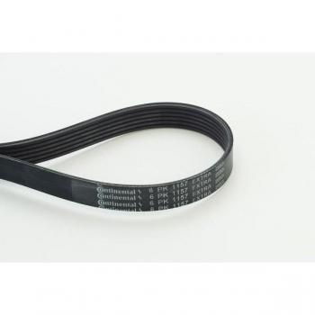 Cinturón acanalado CONTITECH 6 PK 1157 EXTRA, Correa trapecial poli V CONTITECH 6PK1157 EXTRA